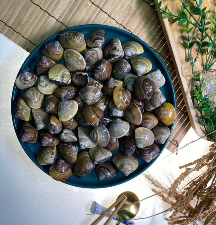 Clams