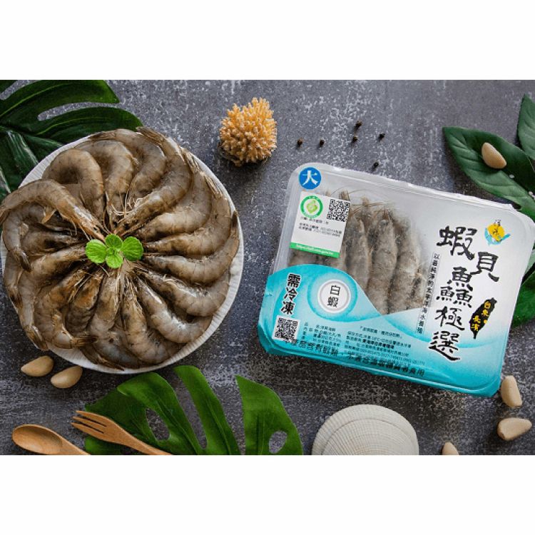 蝦類白蝦頂極白蝦