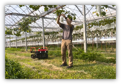 智慧跟隨搬運車
