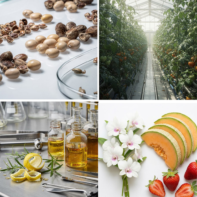 Plasma Applications on Algriculture