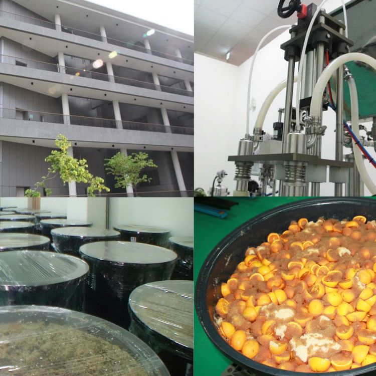 OEM of fermentation in vegetable and fruit.
