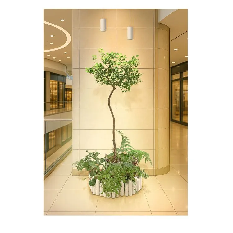 OURA ARK 開樟大吉  Micro Forest-1