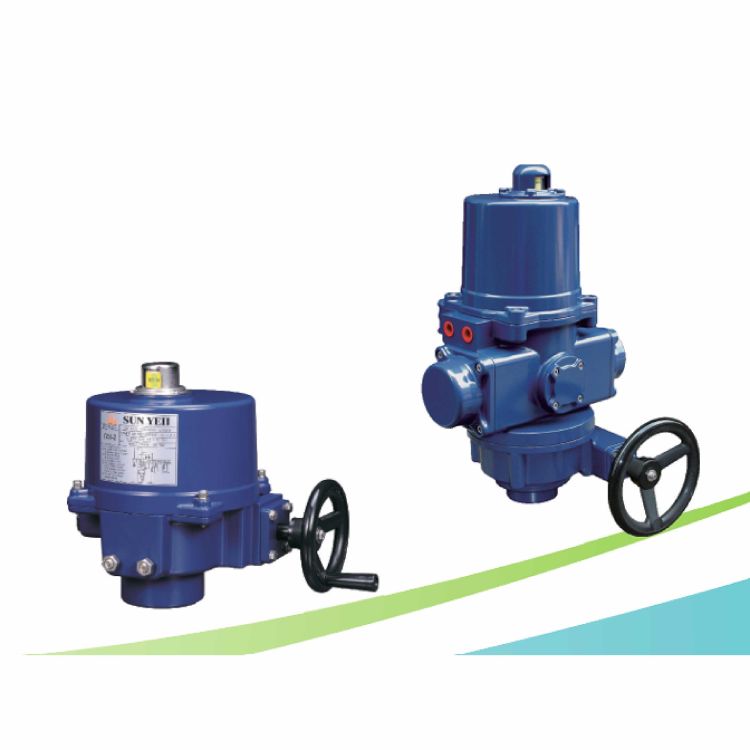 Quarter-turn Electric Actuator