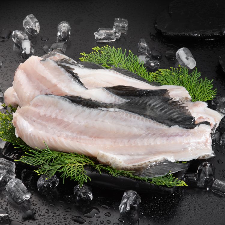 墨瑞鱈魚 魚龍骨