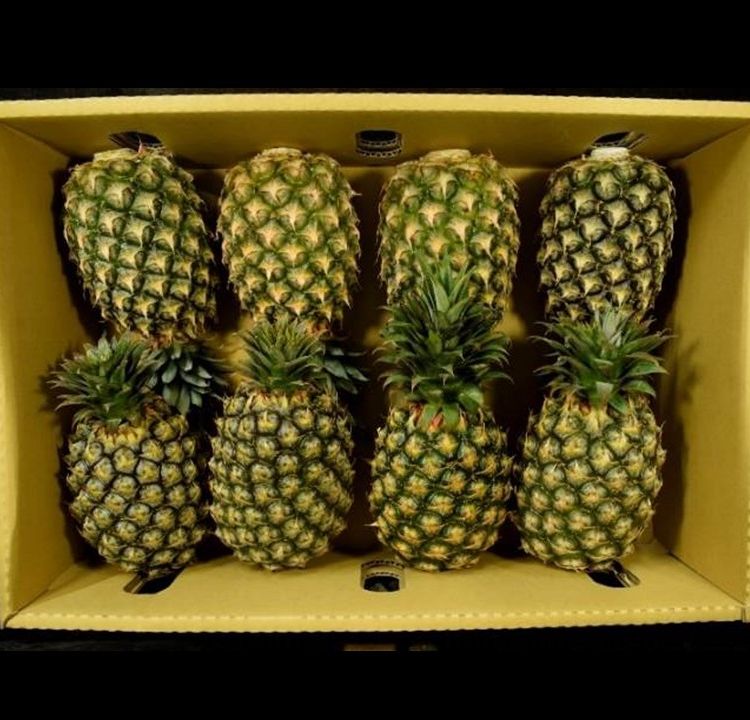 The standard operating procedure for exporting 'Tainung No. 17' pineapple to Canada and the Middle East
