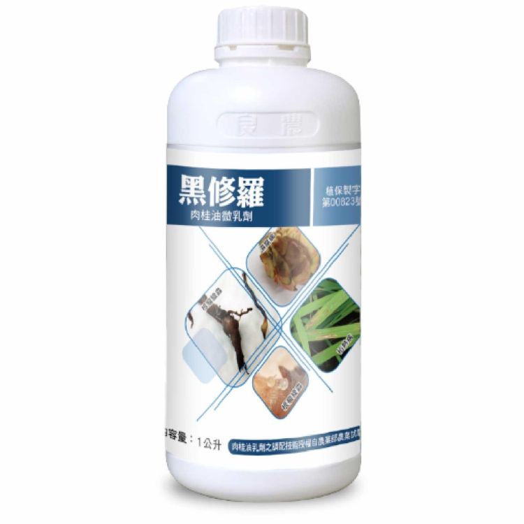 黑修羅