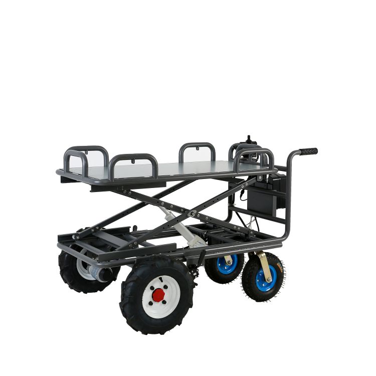 CAMEL6 (Lift Type)