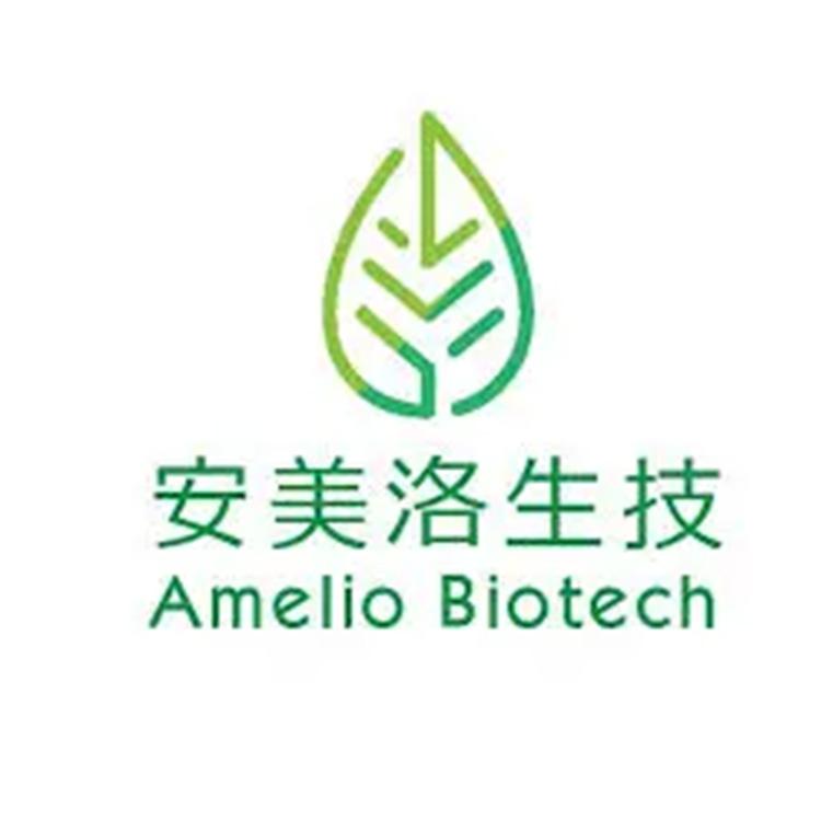 安美洛分子科技股份有限公司