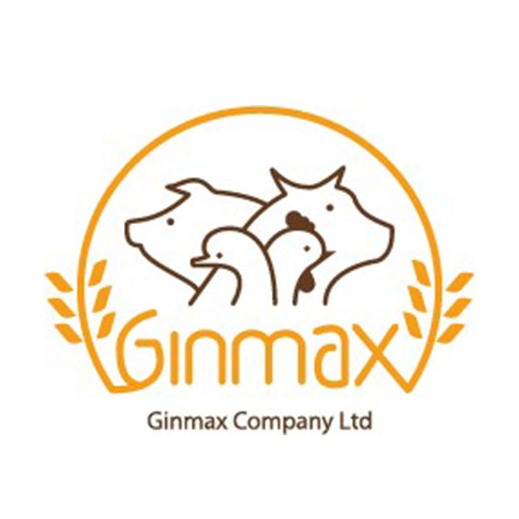 GINMAX COMPANY LTD.
