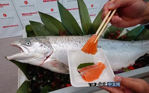 養殖魚撐起全球餐桌，産量30年增至4倍