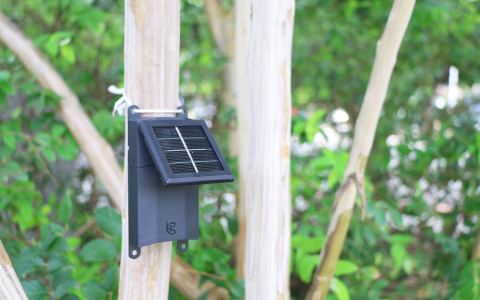 科技驅動農業新未來 - 魔塊物聯 助力企業實現全方位智慧農業管理