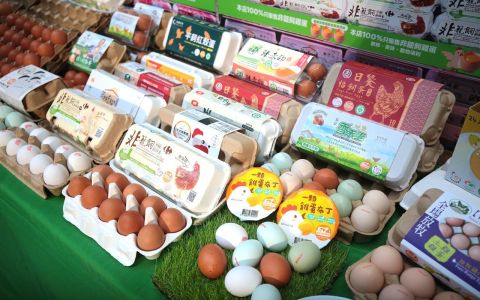 全球 2800 家企業廢除格子籠，台灣家樂福宣佈，2026年10月後不供應格子籠蛋