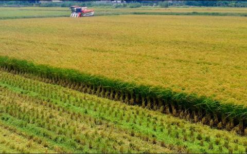 農業部4政策 拚2040農業淨零