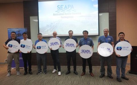 牡蠣養殖突圍轉型 探索水產引入澳洲籃式養殖技術