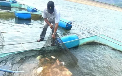 Agricultural extension – a “pillar” for the green transformation of the aquaculture industry.