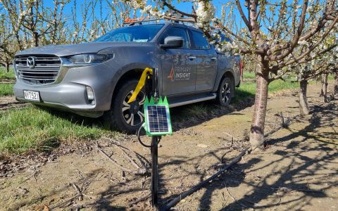 NZ Cherry Corp Case Study