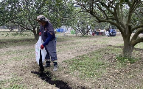 淨零時代，政府擴大補助有機質肥料