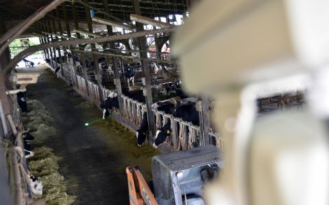 免費報名｜酪農專場｜智慧雷射驅鳥設備說明會