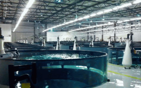Seeking to Purchase Indoor RAS (Recirculating Aquaculture System) Tanks