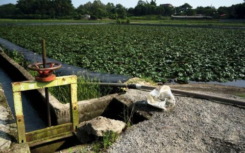 低碳農業勢在必行！提升氣候衝擊適應性，增加碳交易收入 專家籲：應盡快制定碳計算方式