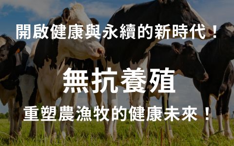 無抗養殖新時代：健康與永續的雙贏選擇！