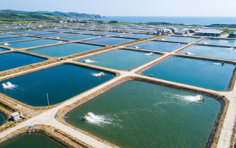 🐟️採購「水質淨化劑」