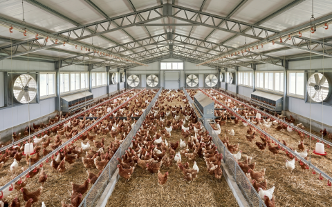 🐓採購「養雞場自走車」