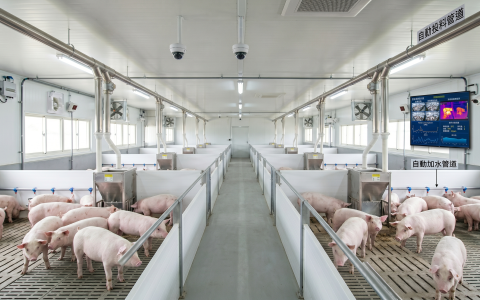 🐓採購「智能養殖雲端系統」