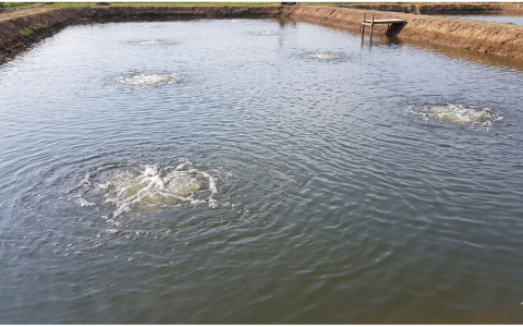 🐟️採購「曝氣增氧機」