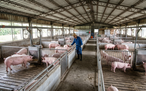 🐓採購「精液分析儀」