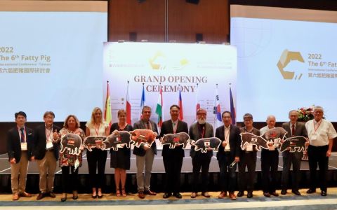 肥豬是國寶！蘭嶼豬、六堆黑豬如何保存？伊比利豬為何紅遍世界？各國學者共商在地豬種延續之道