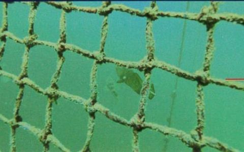 Yuang Hsian Metal Industrial Corp. (YHM)’s AB-65 Hybrid Copper Alloy Aquaculture Net Is Environmental-Friendly, Durable, And Anti-biofouling