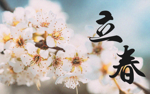 立春啟新耕，智慧農業助您豐收起步！