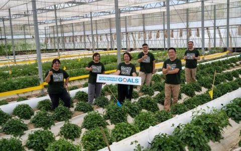 Saving 70% of water - New Irrigation System Revolutionizes Farming in Tropical Regions