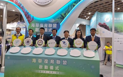 農業部水試所與四大學組「海草復育聯盟」 目標復育海草床本島20公頃、澎湖40公頃