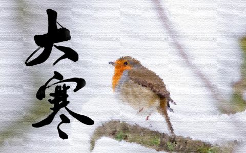 大寒將至，厚植生機，備戰豐年！