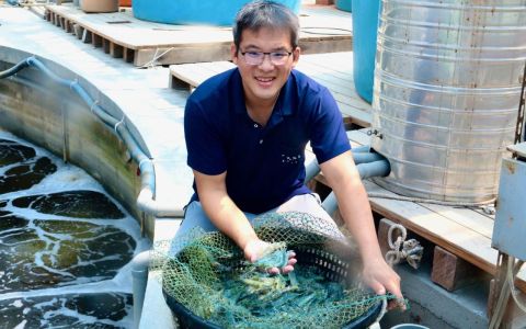 從管樂手、馴獸師到模範漁民，徐嘉隆溫室養蝦打出一片天，晶瑩藍寶石蝦完全不用藥