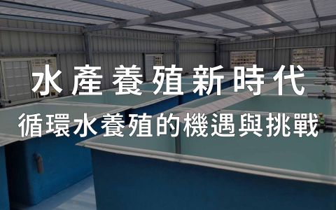 突破傳統！水產養殖循環水系統的秘密武器！