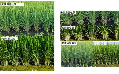 迎戰極端氣候！佳和農化預防農業(prevention agriculture)，啟動綠色新農業的高效防護網