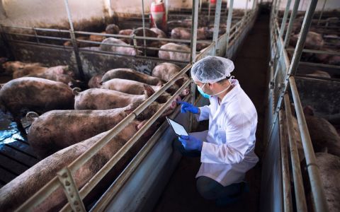 2024臺灣智慧農業週-畜禽暨飼料科技展暨論壇 引領精準營養新未來