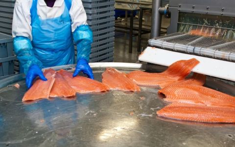 Revolutionizing Seafood Supply: How Taiwan is Tackling Waste and Meeting Market Needs