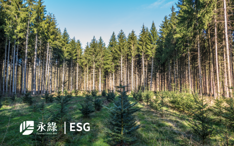 Forever Green Bio Drives Global Green Agriculture Transformation with Advanced Plant Nutrition and Carbon Sequestration Solutions