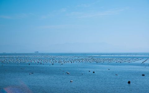 Taiwanese Manufactures use Photoelectric Buoys and Waste Fishing Net to contribute to Environmental Awareness