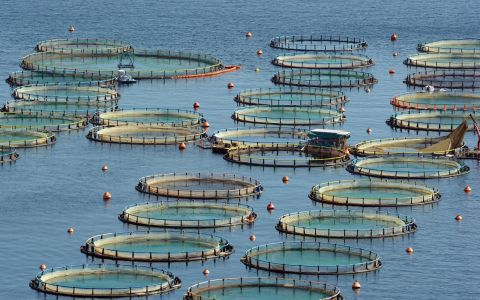 國立臺灣海洋大學與臺灣海洋生物技術學會聯合舉辦「藍色科技：打造智慧水產多元健康永續未來」論壇