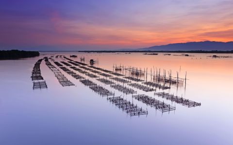 2026 亞太漁業與水產養殖趨勢白皮書── 以台灣為樞紐，連結印尼、新加坡與東協生產基地的藍色商機