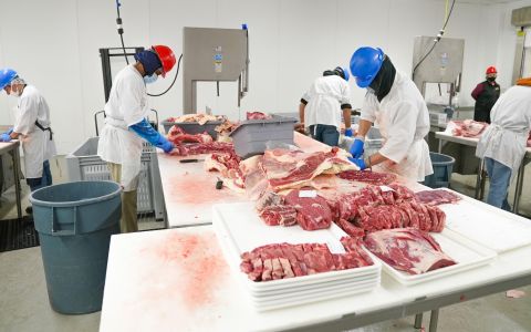 wo essential tools for meat portioning - knives and scales