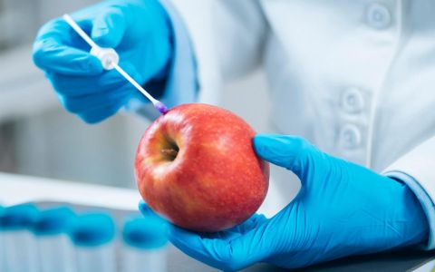 Argicultural Product Testing : The Safeguard of Transportation, Health, and Environment