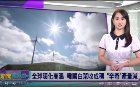 全球暖化高溫 韓國白菜收成䆀 「辛奇」產量減