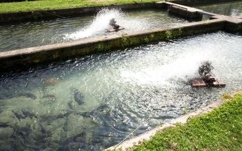 泳瀚科技・ESG環境友善・底質改善劑・直接抑制「硫化氫」「藍綠藻」