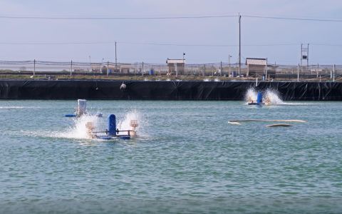 2024臺灣國際漁業產業展：賦能水產養殖邁向智慧新紀元